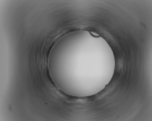 X0000114410236200910161038