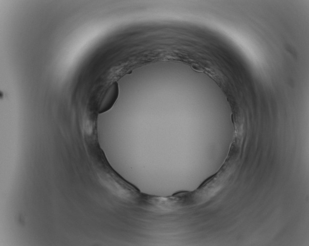 X0000114410239200910161038