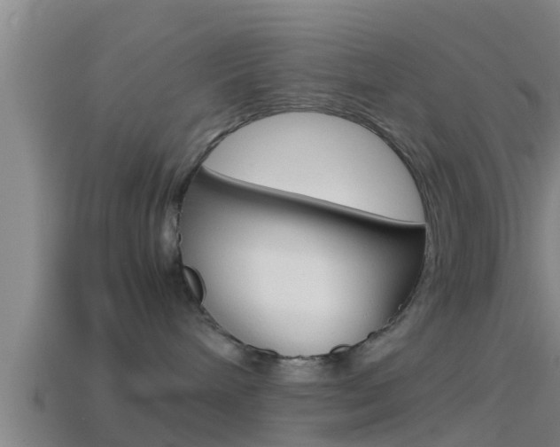 X0000114410240200910161038
