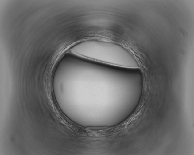 X0000114410241200910161038
