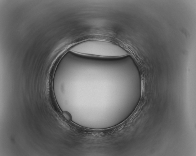 X0000114410243200910161038