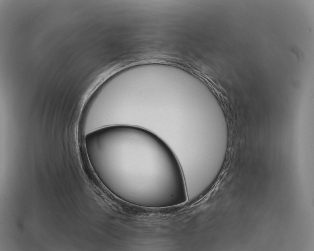 X0000114410244200910161038