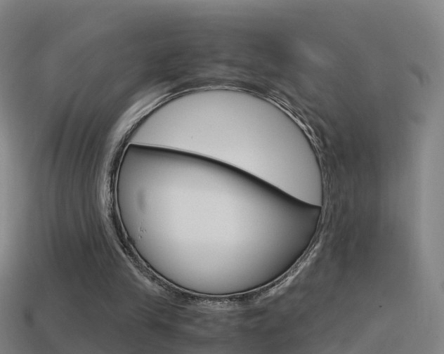 X0000114410245200910161038