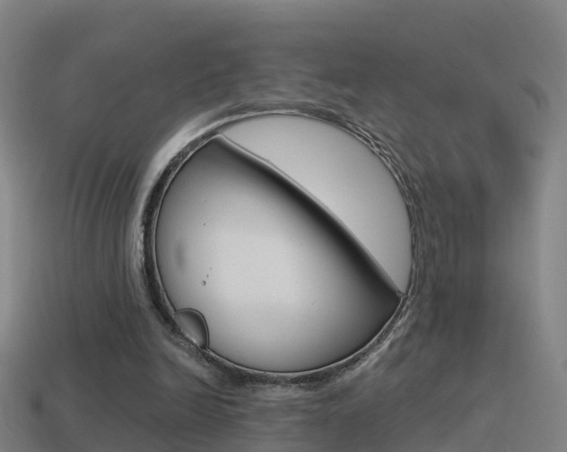 X0000114410246200910161038