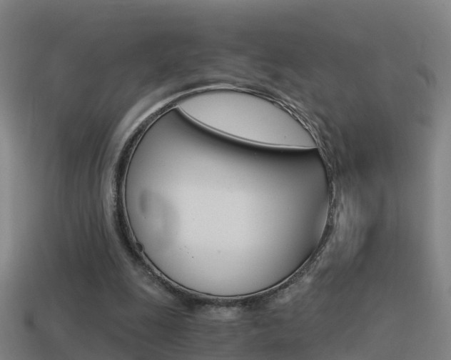 X0000114410247200910161038