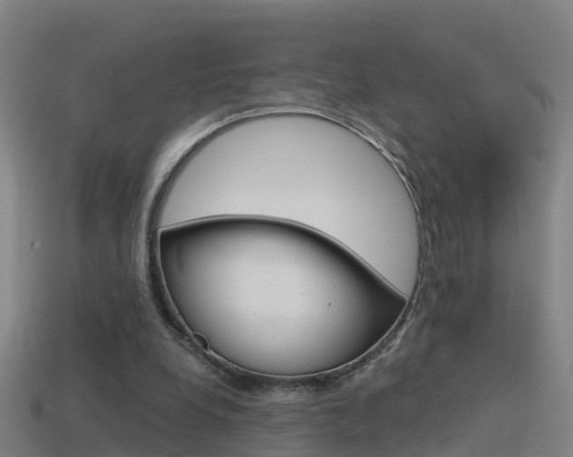 X0000114410248200910161038
