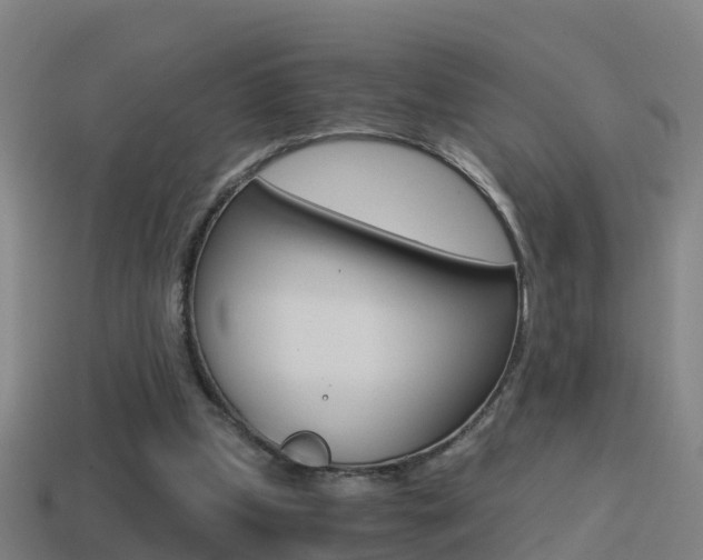 X0000114410249200910161038