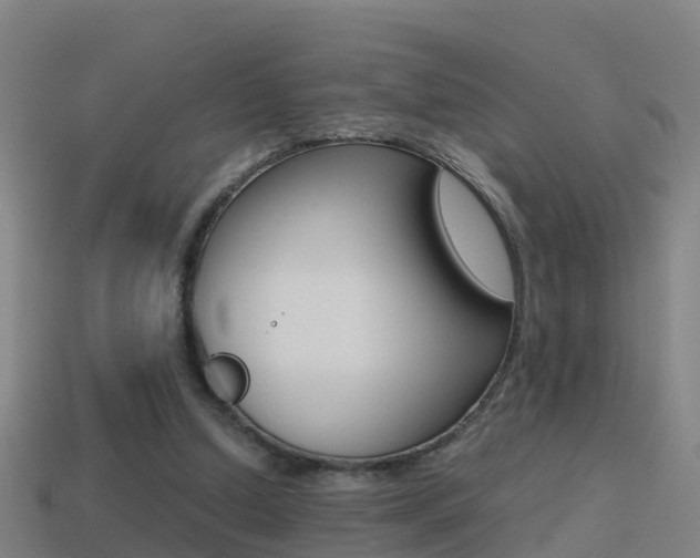 X0000114410250200910161038