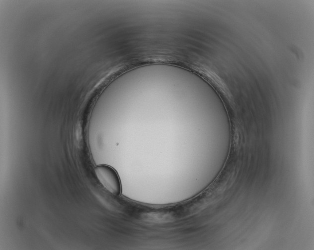 X0000114410251200910161038