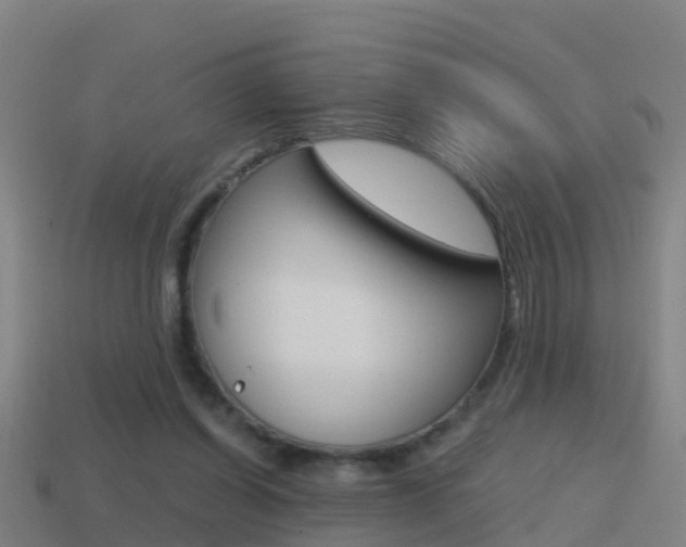 X0000114410254200910161038