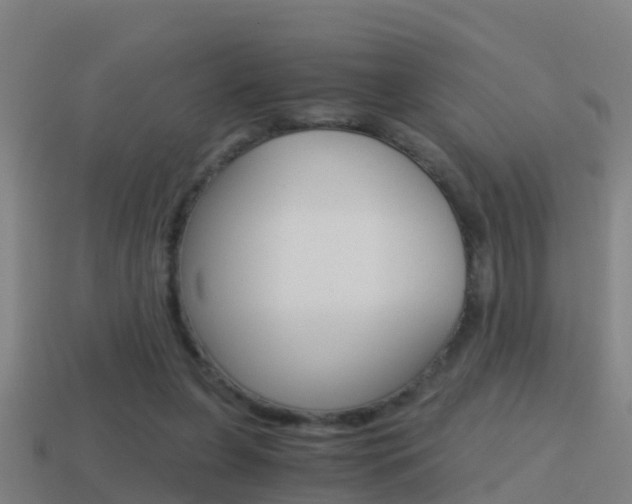 X0000114410255200910161038