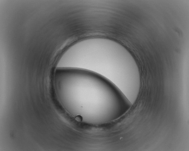X0000114410256200910161038