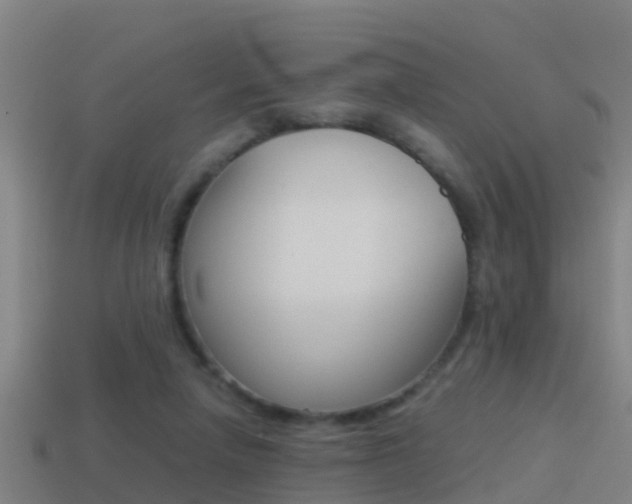 X0000114410258200910161038