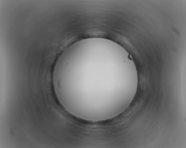 X0000114410259200910161038