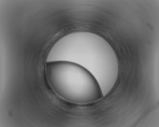 X0000114410260200910161038