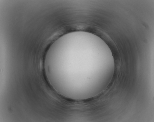 X0000114410262200910161038
