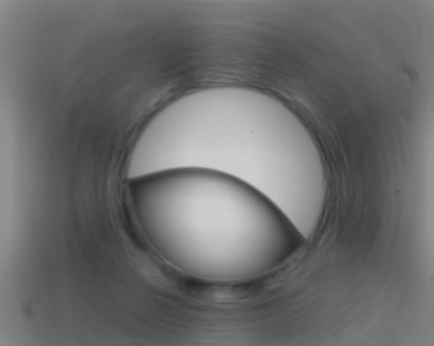 X0000114410264200910161038