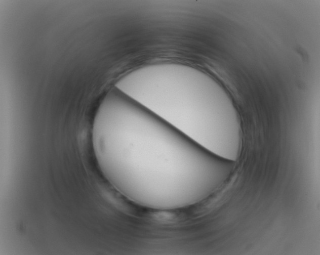 X0000114410265200910161038