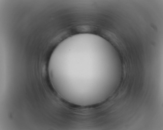 X0000114410267200910161038