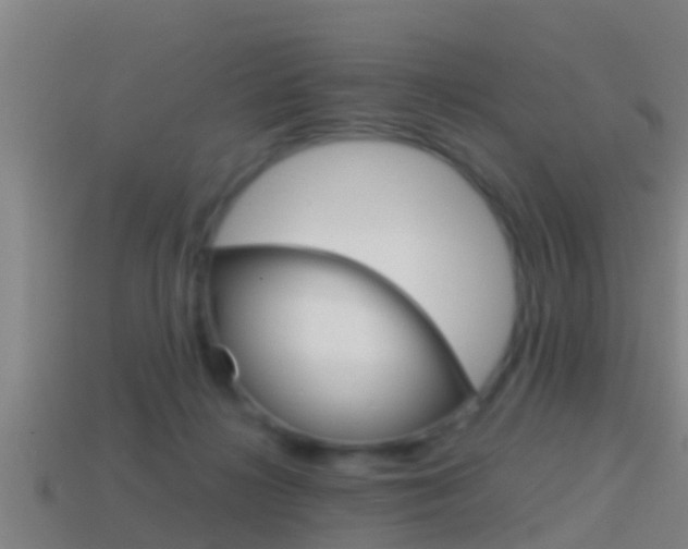 X0000114410268200910161038