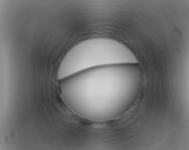 X0000114410272200910161038