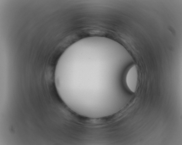 X0000114410273200910161038