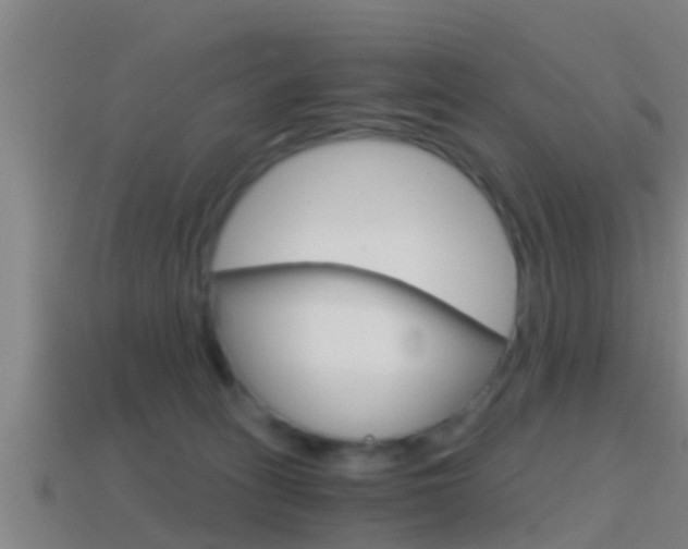 X0000114410275200910161038