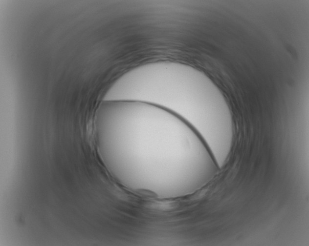 X0000114410276200910161038