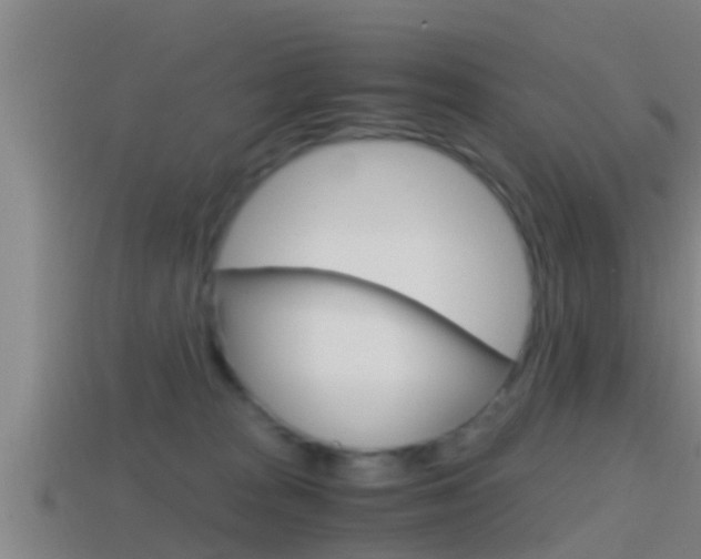 X0000114410277200910161038