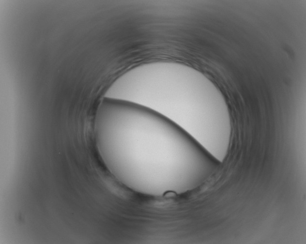 X0000114410278200910161038