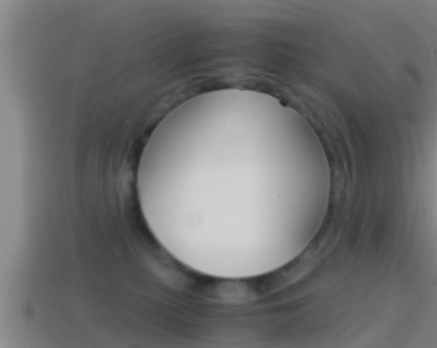 X0000114410279200910161038