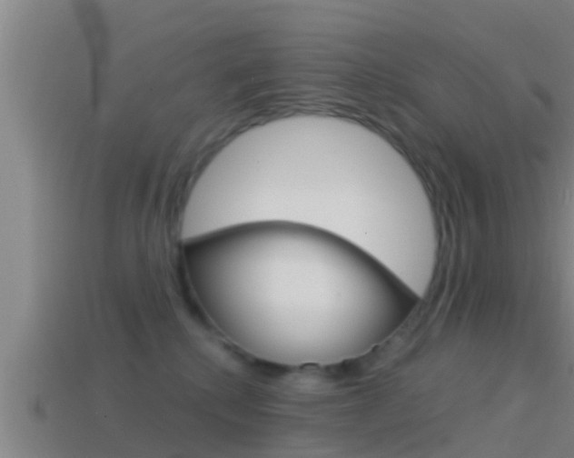 X0000114410280200910161038