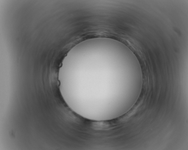 X0000114410281200910161038