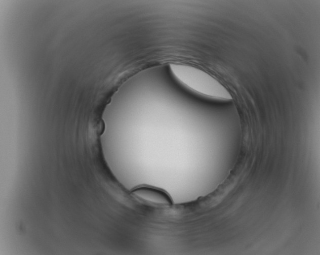 X0000114410282200910161038