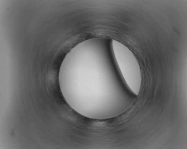 X0000114410283200910161038