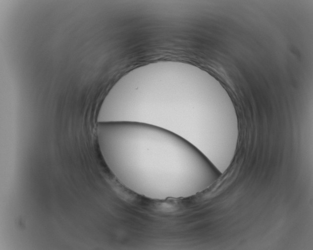 X0000114410285200910161038