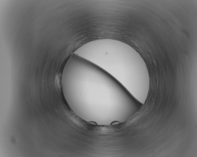 X0000114410286200910161038