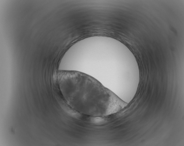X0000114410287200910161038