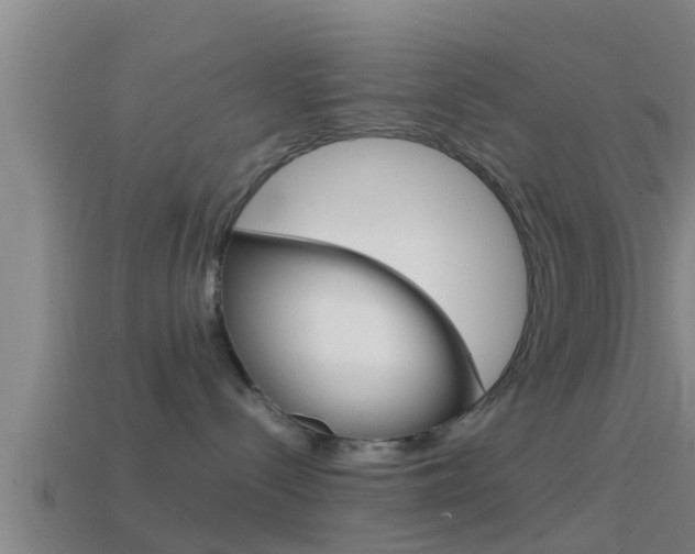 X0000114410288200910161038