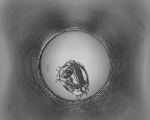 X0000114410289200910161038