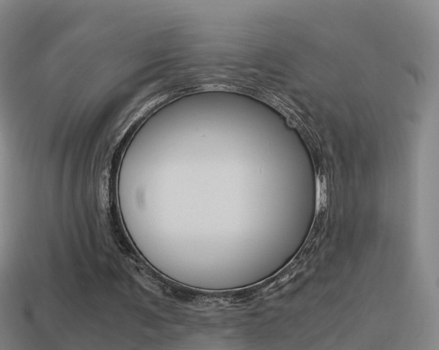 X0000114410291200910161038