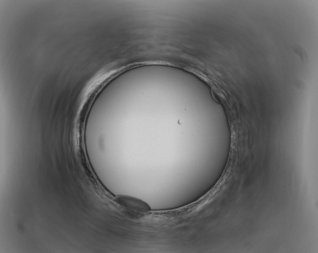 X0000114410294200910161038