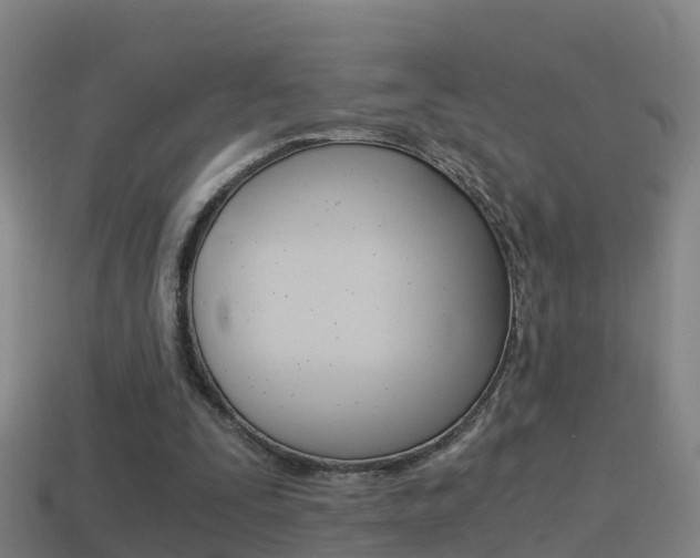 X0000114410295200910161038
