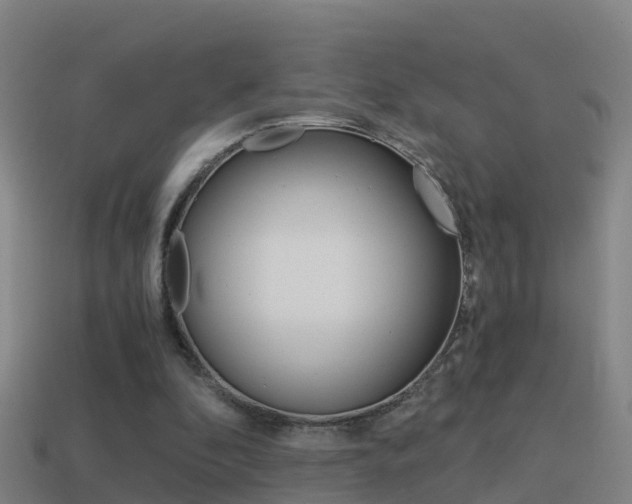X0000114410296200910161038