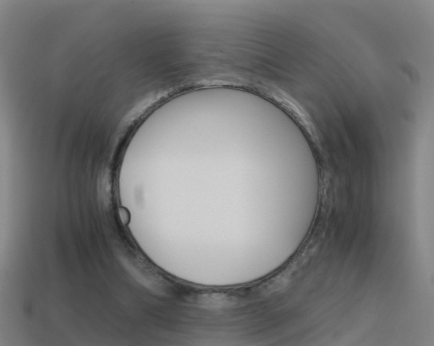 X0000114410298200910161038