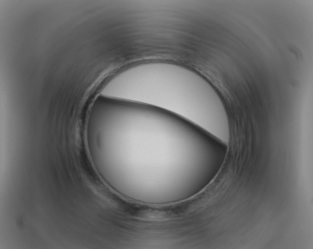 X0000114410300200910161038