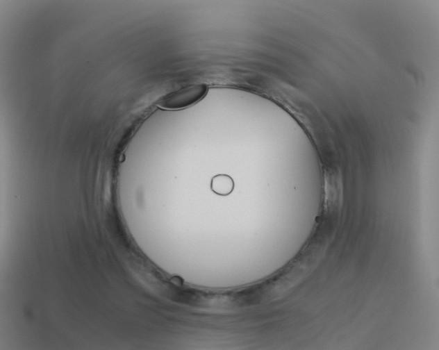 X0000114410301200910161038