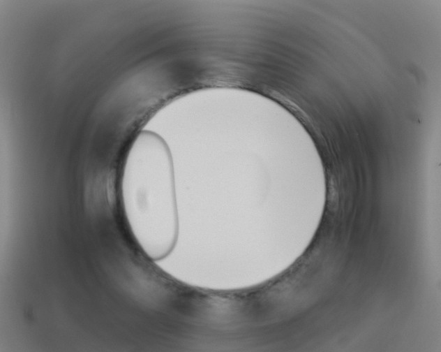 X0000114410302200910161038