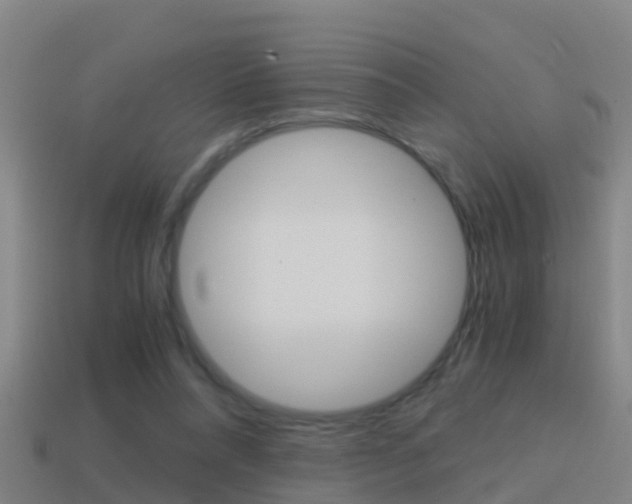 X0000114410304200910161038