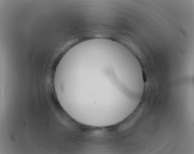 X0000114410306200910161038